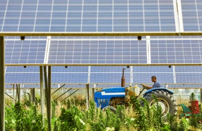 Program „Agroenergia” – dotacje na odnawialne źródła energii dla rolników