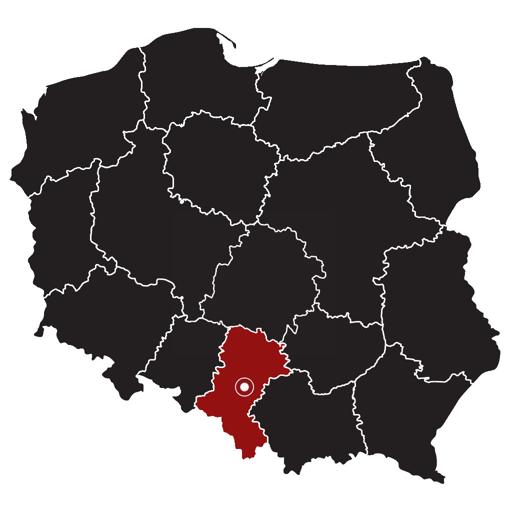 Katowice - śląskie